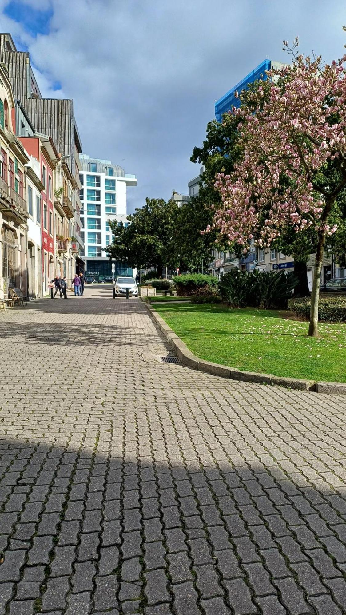 Otf- Porto Centro Appartement Buitenkant foto